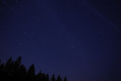 Photo of Picturesque view of dark forest and beautiful starry sky at night