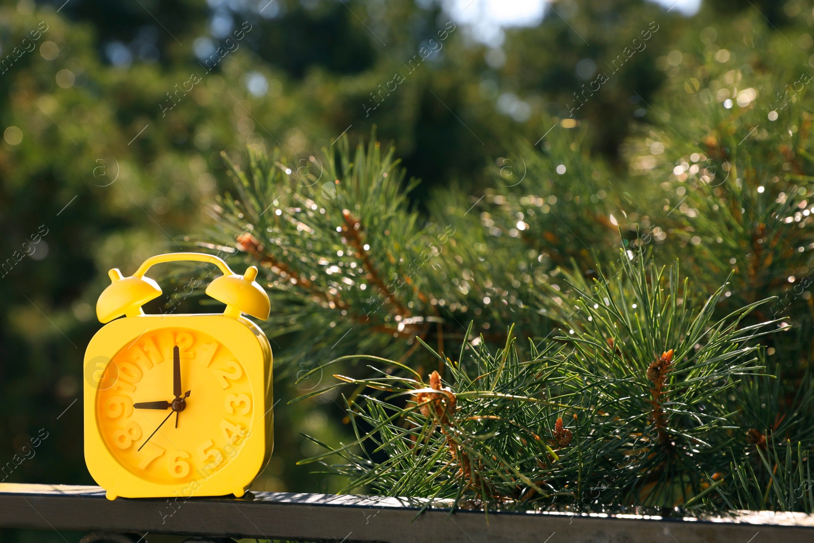 Photo of Yellow alarm clock outdoors on sunny morning. Space for text