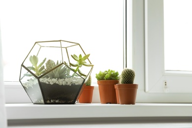 Photo of Different indoor plants on window sill at home