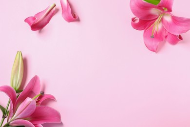 Photo of Beautiful pink lily flowers on color background, flat lay. Space for text