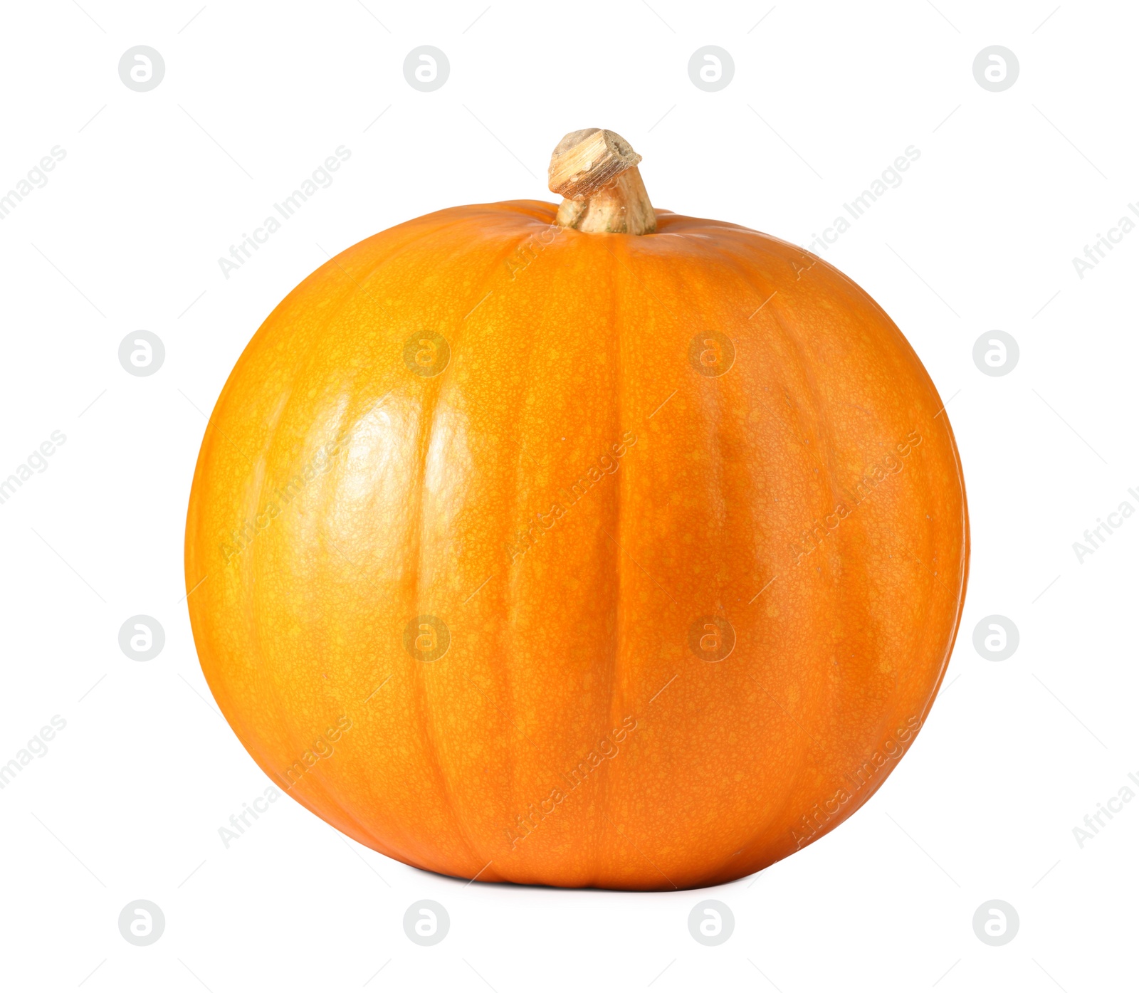 Photo of One fresh orange pumpkin isolated on white