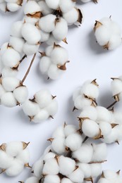 Photo of Branches with cotton flowers on white background, top view