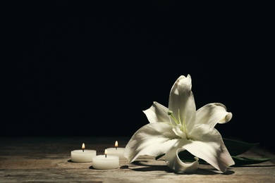 Photo of Beautiful lily and burning candles on dark background with space for text. Funeral flower