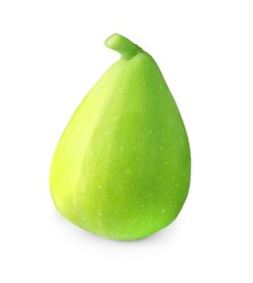 One fresh green fig isolated on white