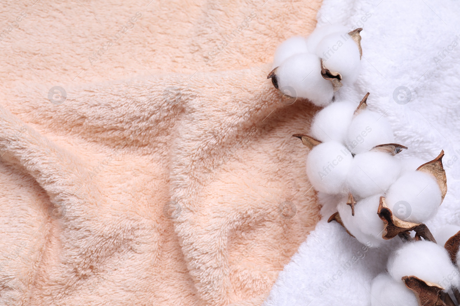 Photo of Cotton branch with fluffy flowers on terry towel, top view. Space for text
