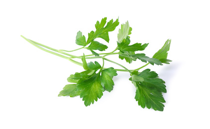 Photo of Aromatic fresh green parsley isolated on white