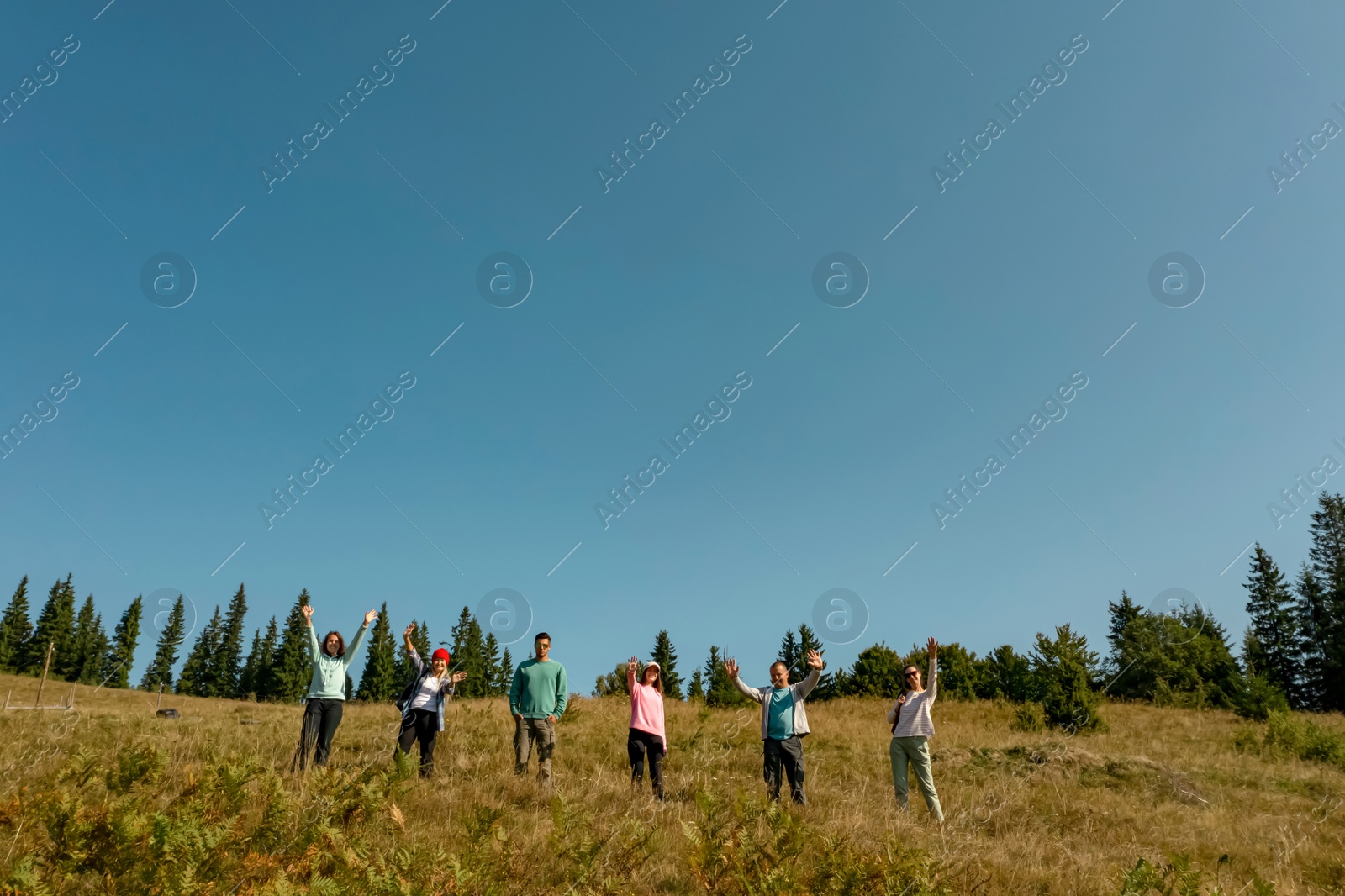 Image of Group of happy tourists on hill in mountains, low angle view