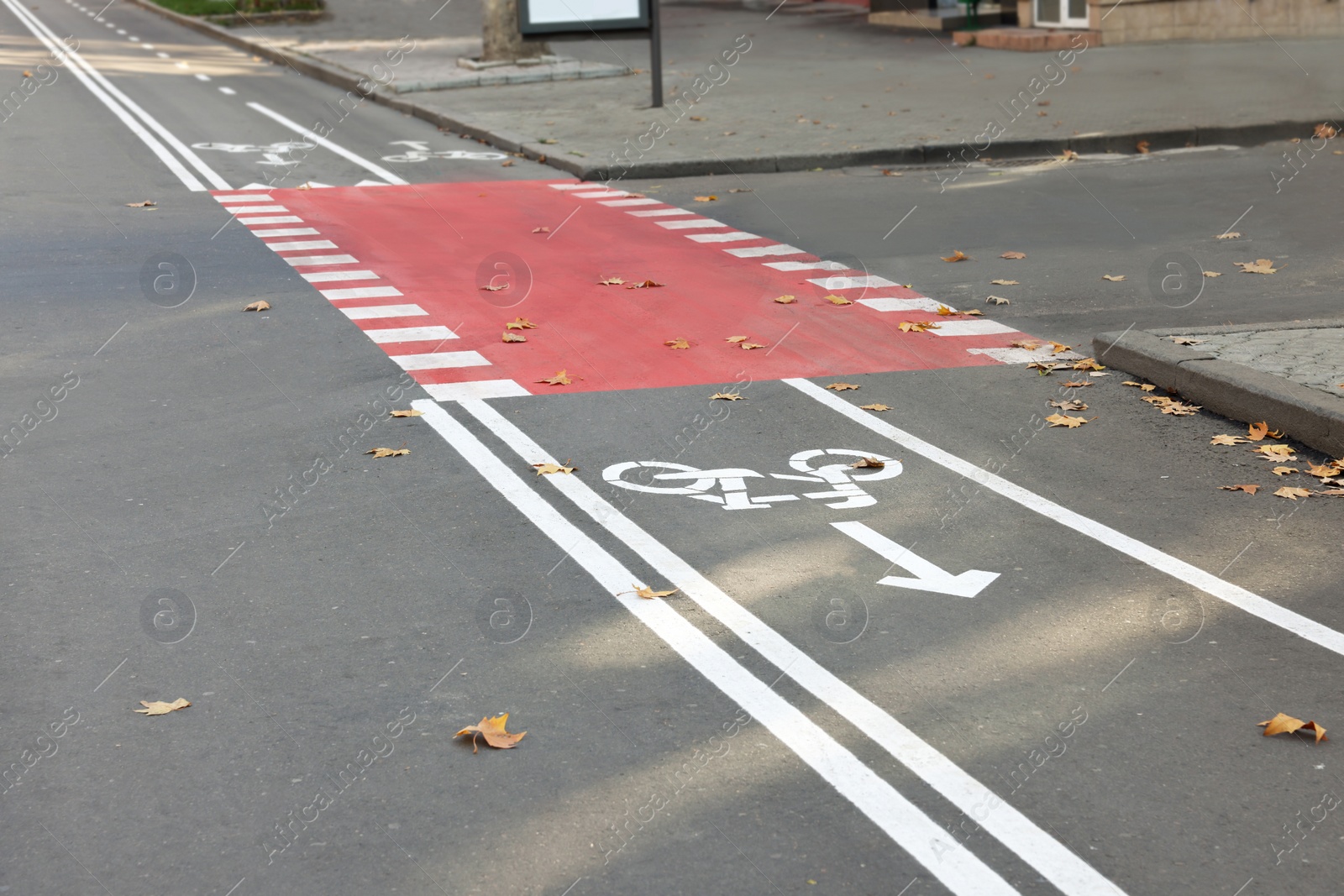 Photo of Two way bicycle lane with white signs crossing road