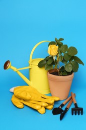 Photo of Gardening gloves, tools and pot with beautiful rose on light blue background