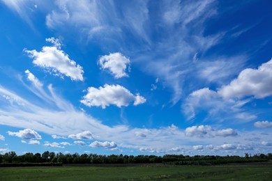 Beautiful view on green trees and field under blue cloudy sky