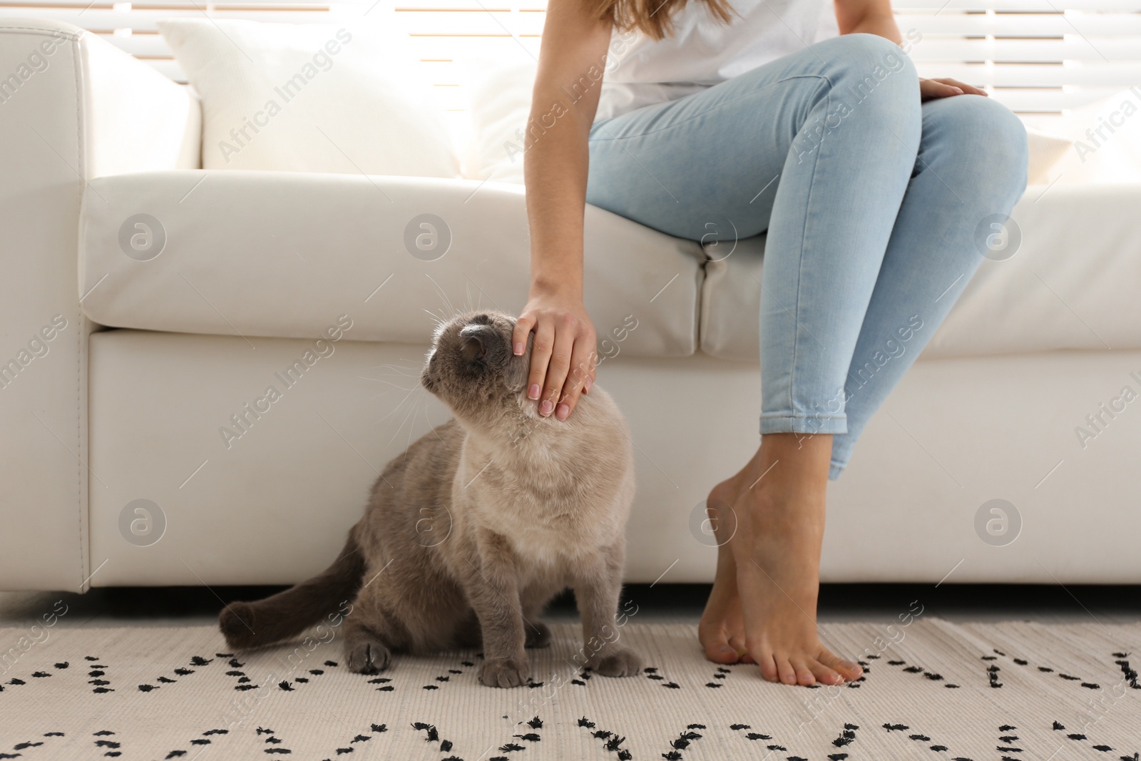 Photo of Young woman with cute cat at home. Fluffy pet