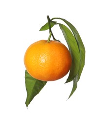 Photo of One fresh tangerine with green leaves isolated on white