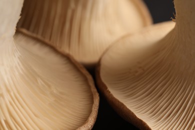 Photo of Macro photo of oyster mushrooms on dark background