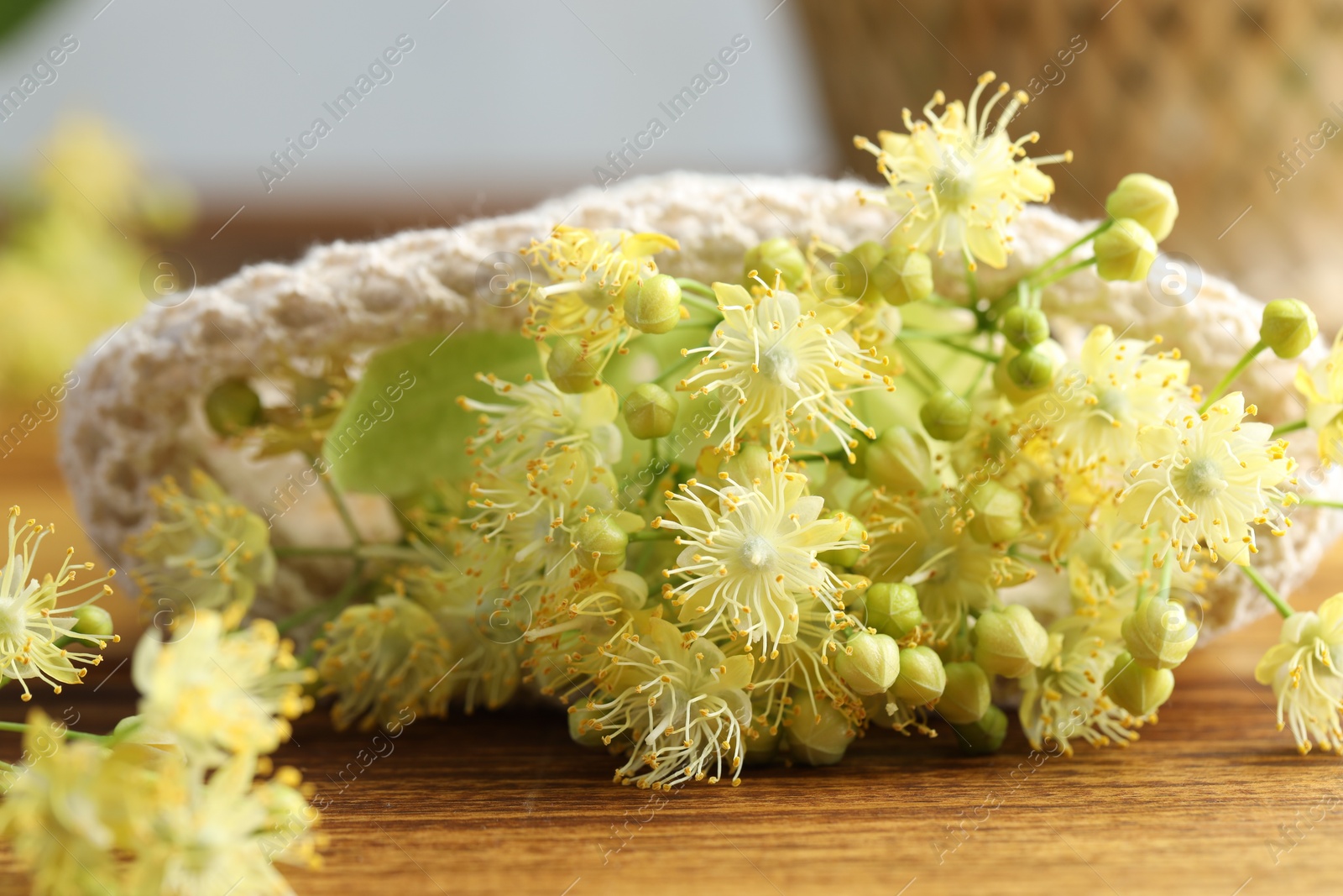 Photo of Fresh linden leaves and flowers on wooden table, closeup