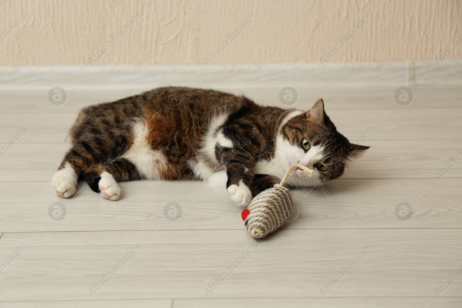 Photo of Cute cat with knitted toy on floor at home. Lovely pet