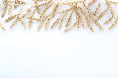 Photo of Many ears of wheat on white background, flat lay. Space for text