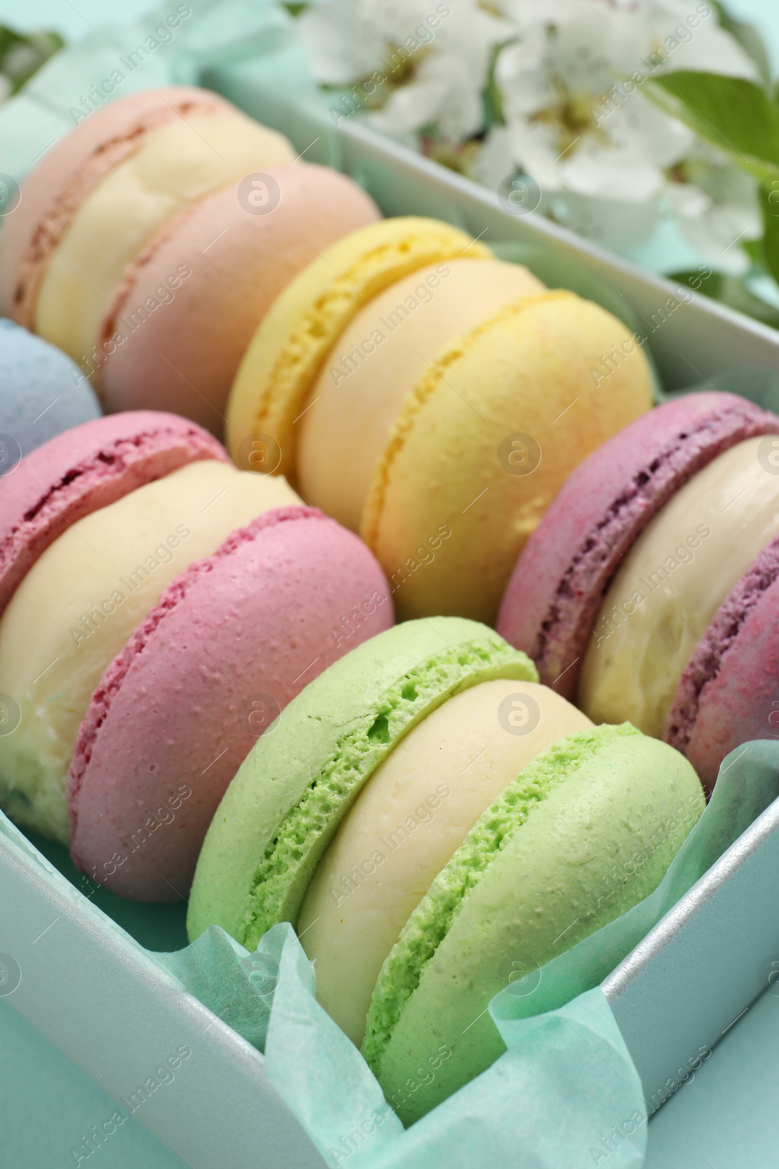 Photo of Many delicious colorful macarons in box on light blue background, closeup