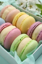 Many delicious colorful macarons in box on light blue background, closeup