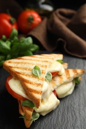Photo of Delicious grilled sandwiches with mozzarella, tomatoes and basil on table. Space for text