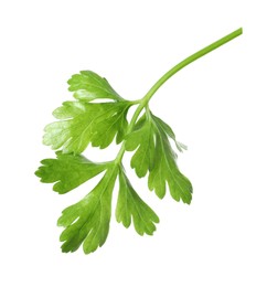 Photo of Sprig of fresh green parsley leaves isolated on white