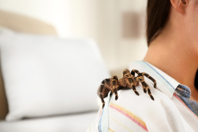 Young woman with striped knee tarantula on shoulder at home, closeup. Space for text