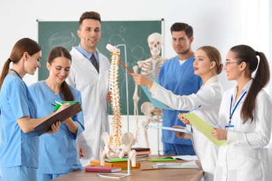 Medical students studying human spine structure in classroom