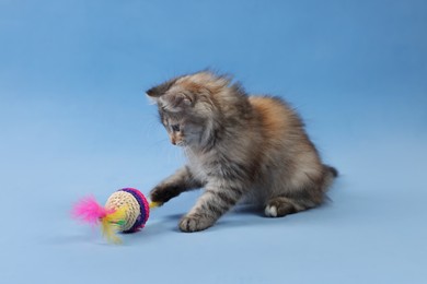Cute fluffy kitten playing with toy on light blue background
