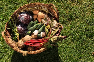 Photo of Different fresh ripe vegetables in wicker basket on green grass, top view. Space for text