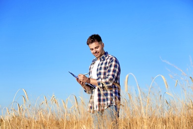 Agronomist with clipboard in wheat field. Cereal grain crop