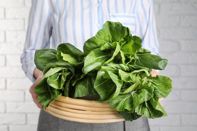 Photo of Woman holding wicker basket with bok choy cabbage near white brick wall, closeup
