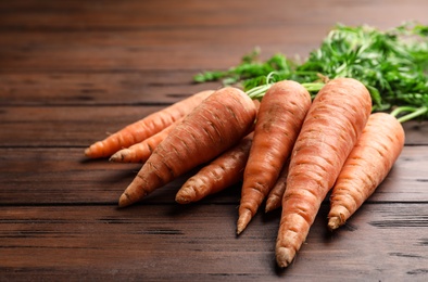 Group of fresh ripe carrots on wooden background. Space for text