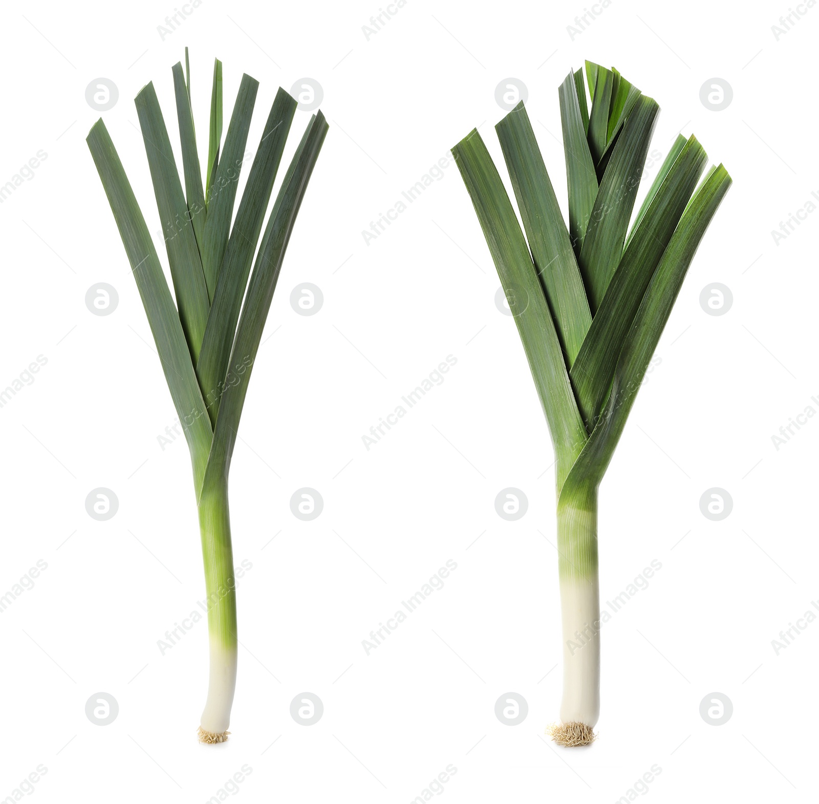 Image of Fresh raw leeks on white background, collage