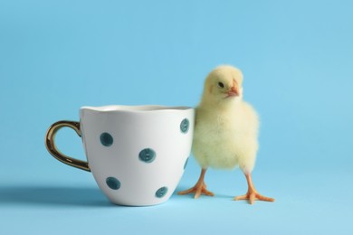 Photo of Cute chick and cup on light blue background, closeup. Baby animal