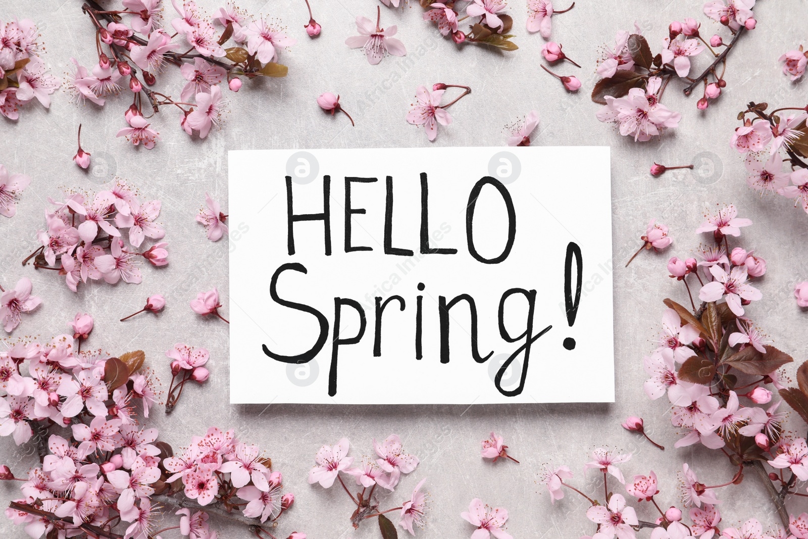 Photo of Tree blossoms and card with text Hello Spring on light stone table, flat lay