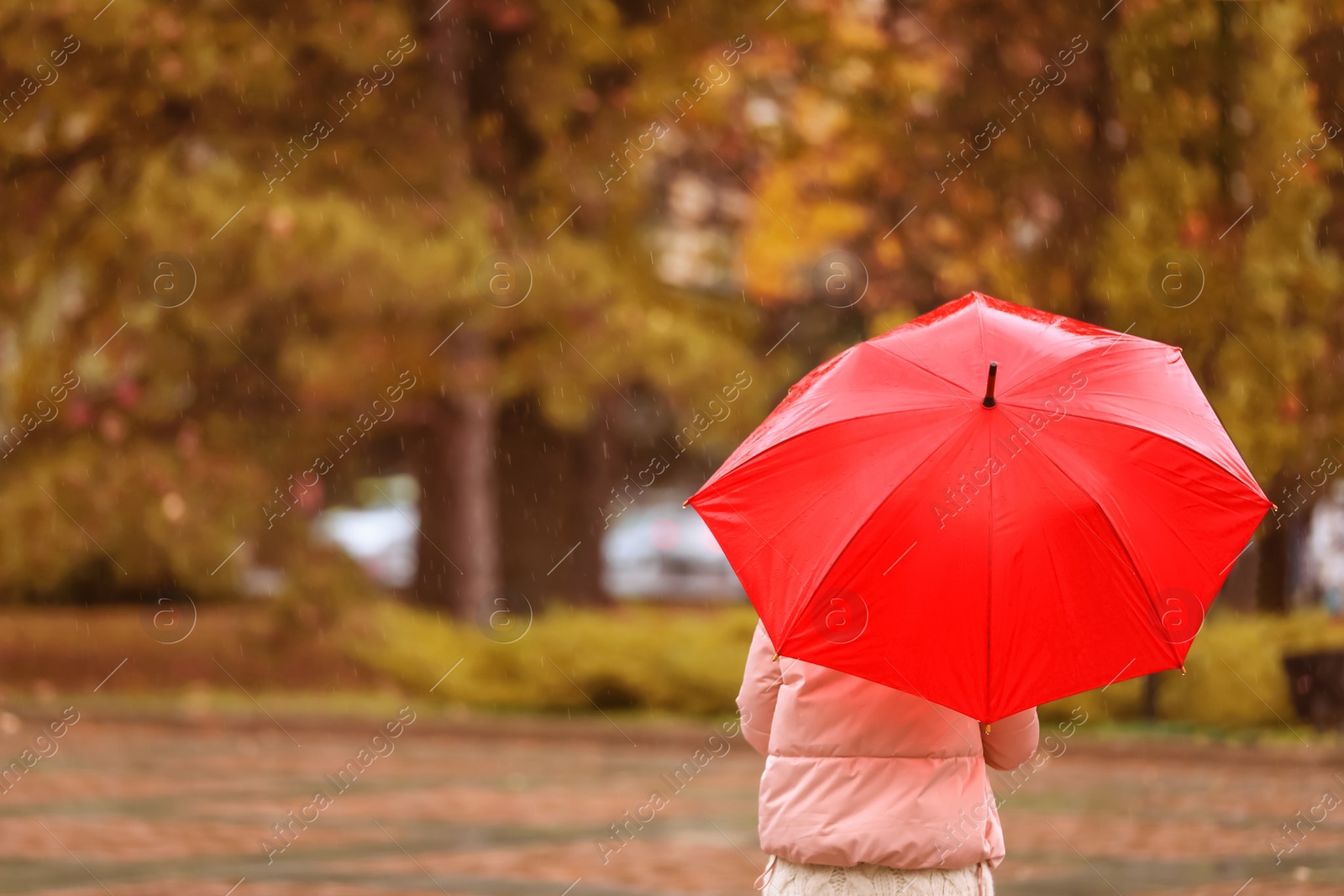 Photo of Woman with umbrella in autumn park on rainy day