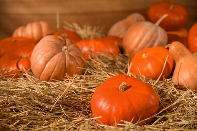 Photo of Fresh orange pumpkins on dry hay in barn