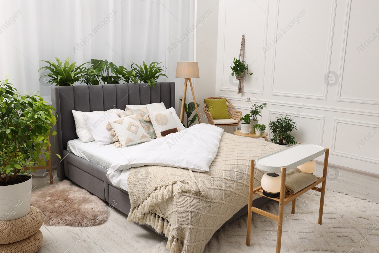 Photo of Large comfortable bed, lamp and beautiful houseplants in bedroom. Interior design