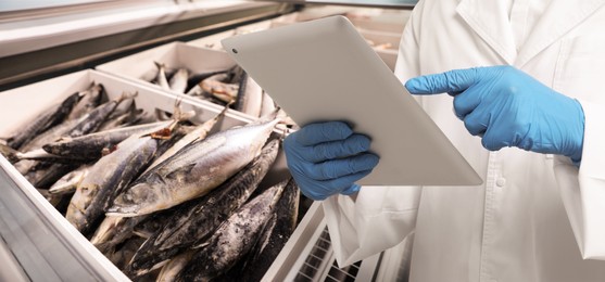 Image of Food quality control specialist examining fish in supermarket, closeup. Banner design