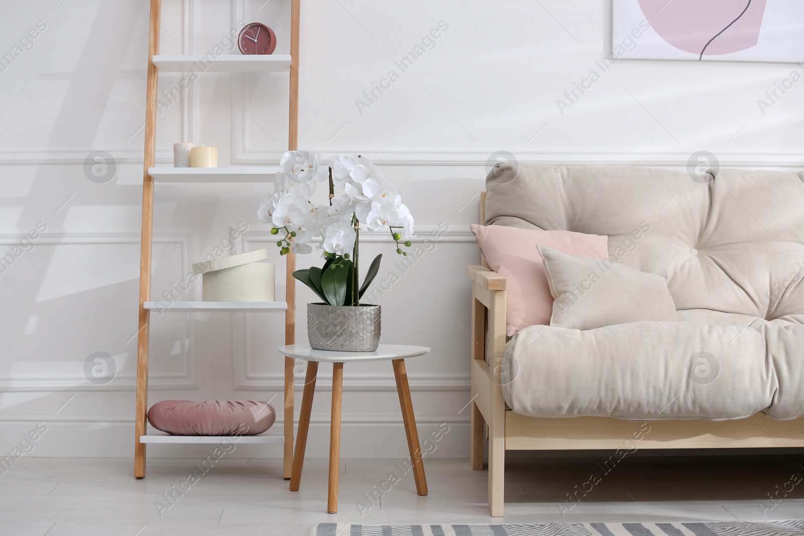 Photo of Modern living room interior with comfortable sofa and beautiful orchid flower