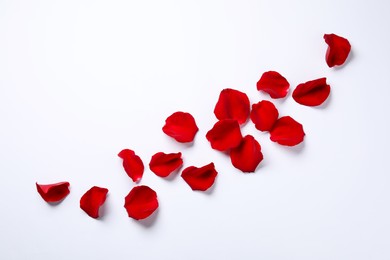 Beautiful red rose petals on white background, top view