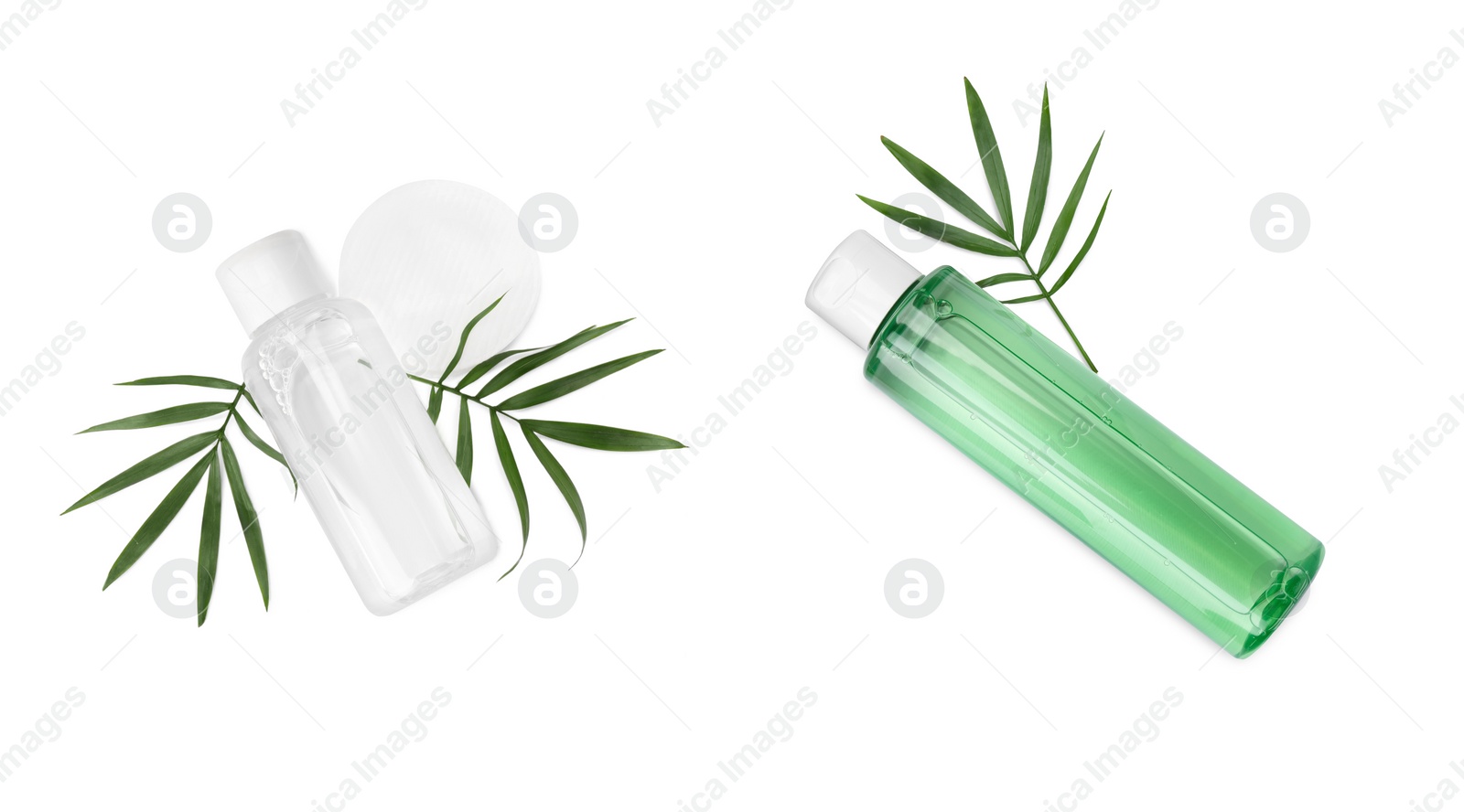 Image of Bottles of micellar cleansing water and green leaves on white background