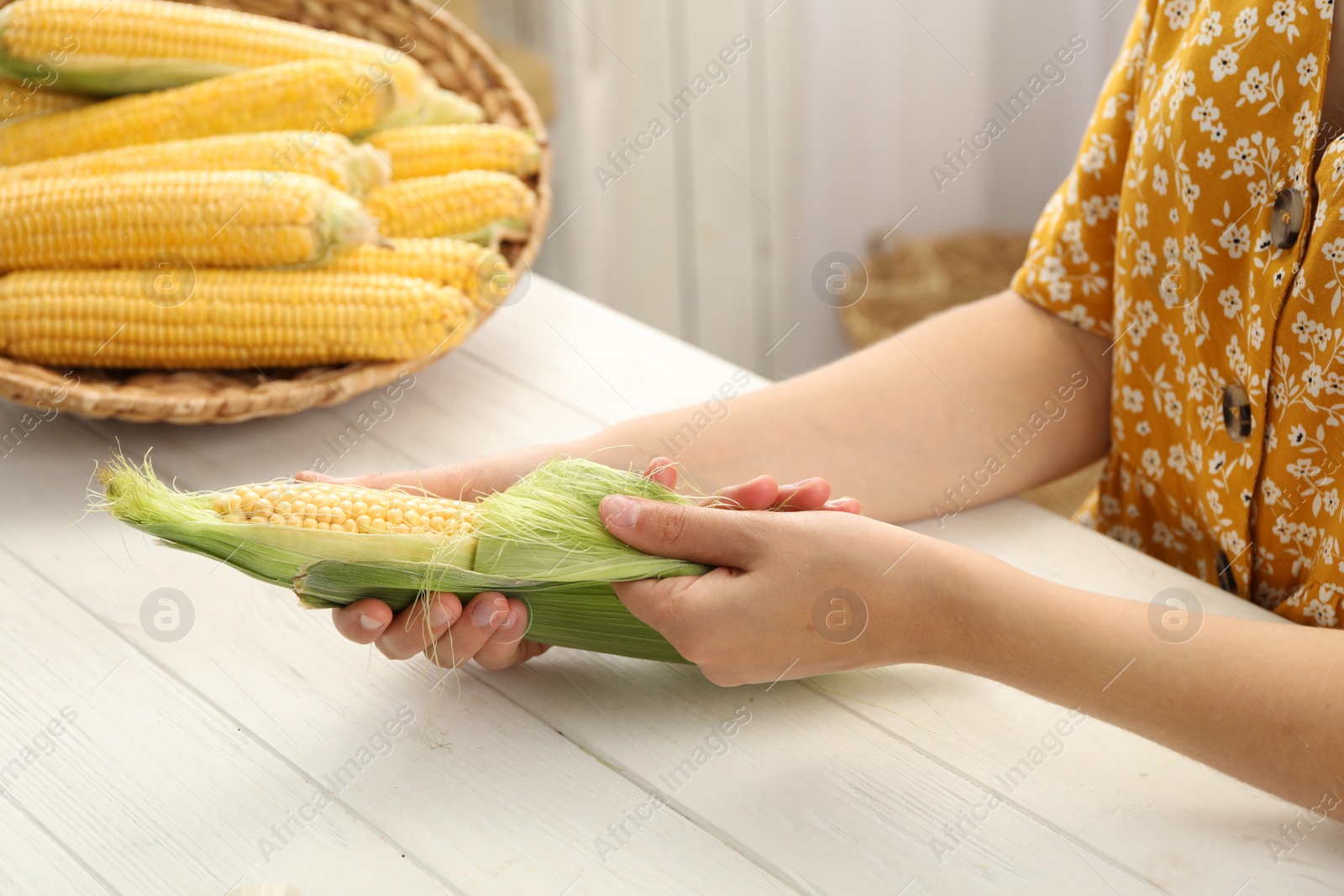 Photo of Woman husking corn cob at white wooden table, closeup