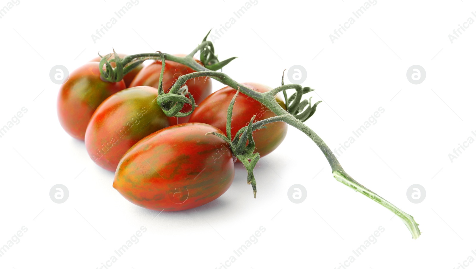 Photo of Branch of red grape tomatoes on white background