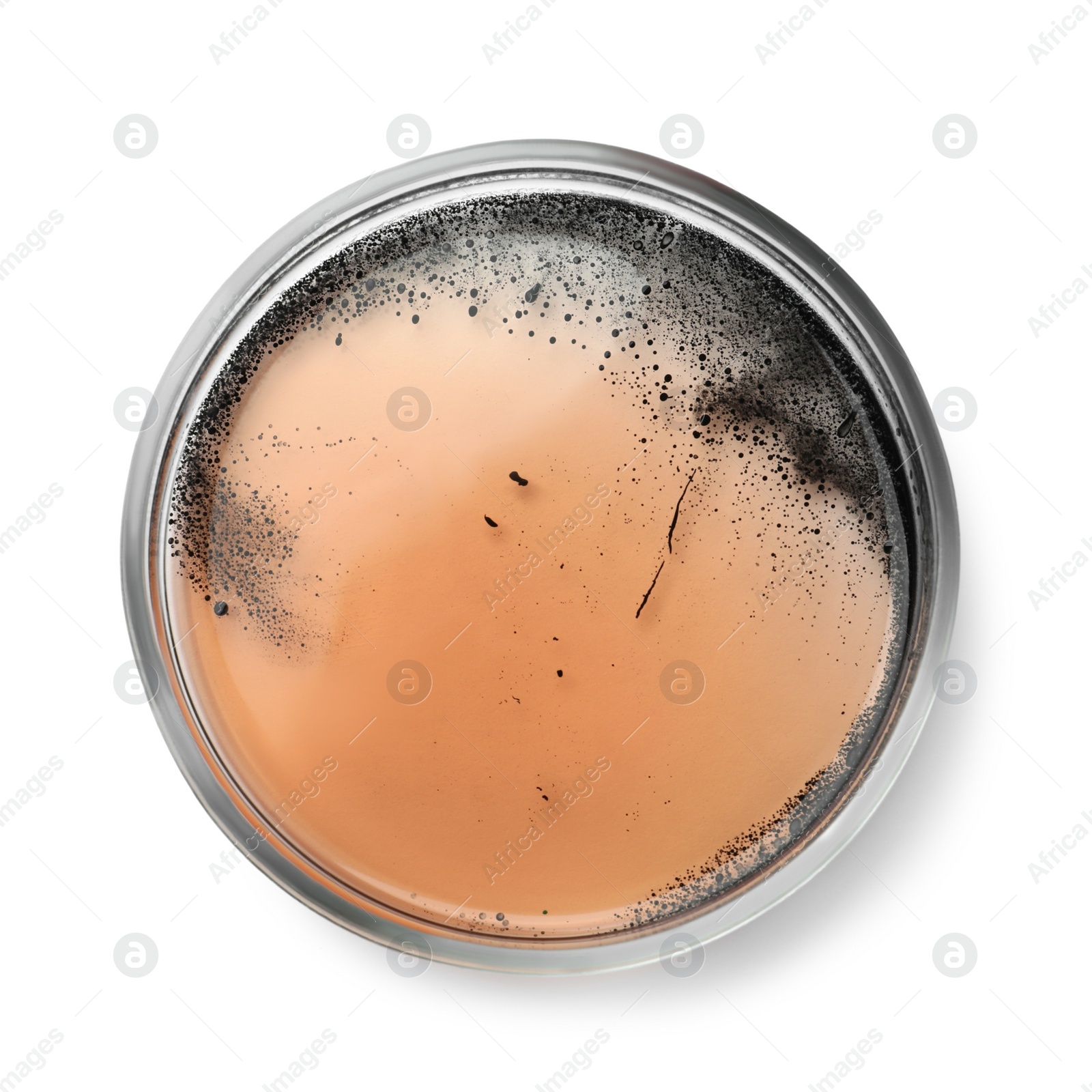 Photo of Petri dish with bacteria colony isolated on white, top view