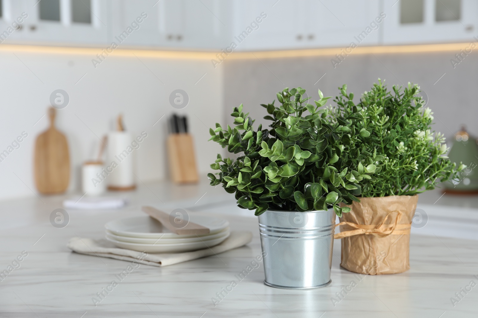 Photo of Aromatic potted herbs on white marble table in kitchen, space for text