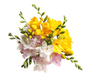 Photo of Bouquet of beautiful freesia flowers on white background