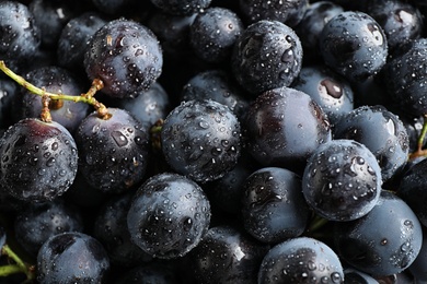 Fresh ripe juicy black grapes as background, closeup view