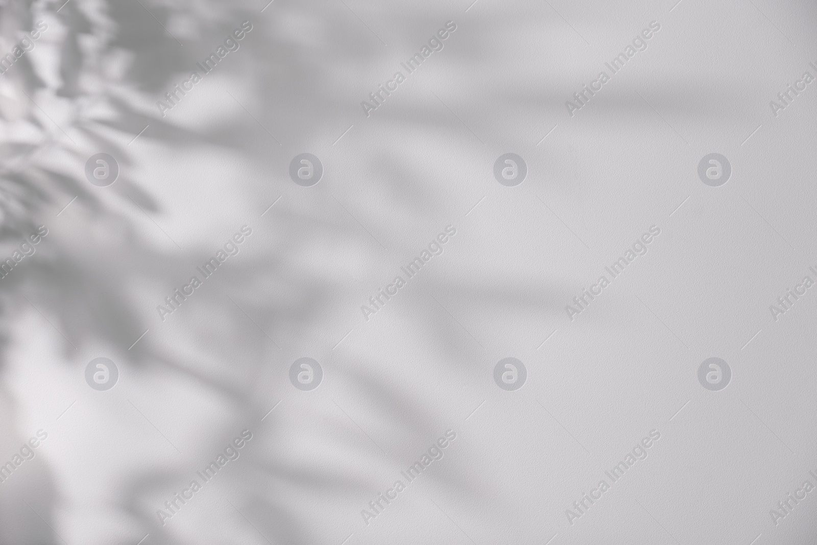 Photo of Shadow of plant falling on white wall, space for text