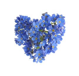 Heart made with blue Forget-me-not flowers isolated on white