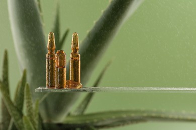 Wet skincare ampoules near aloe vera on light green background, closeup. Space for text